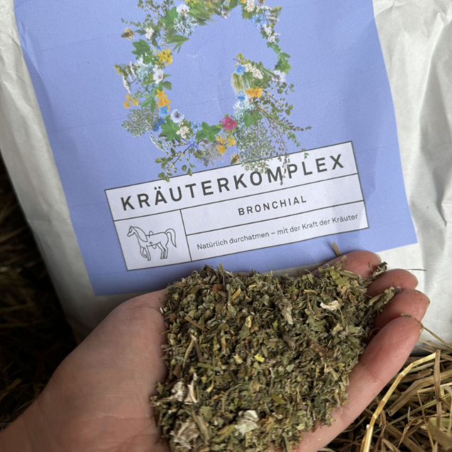 Kräuterkomplex Bronchial