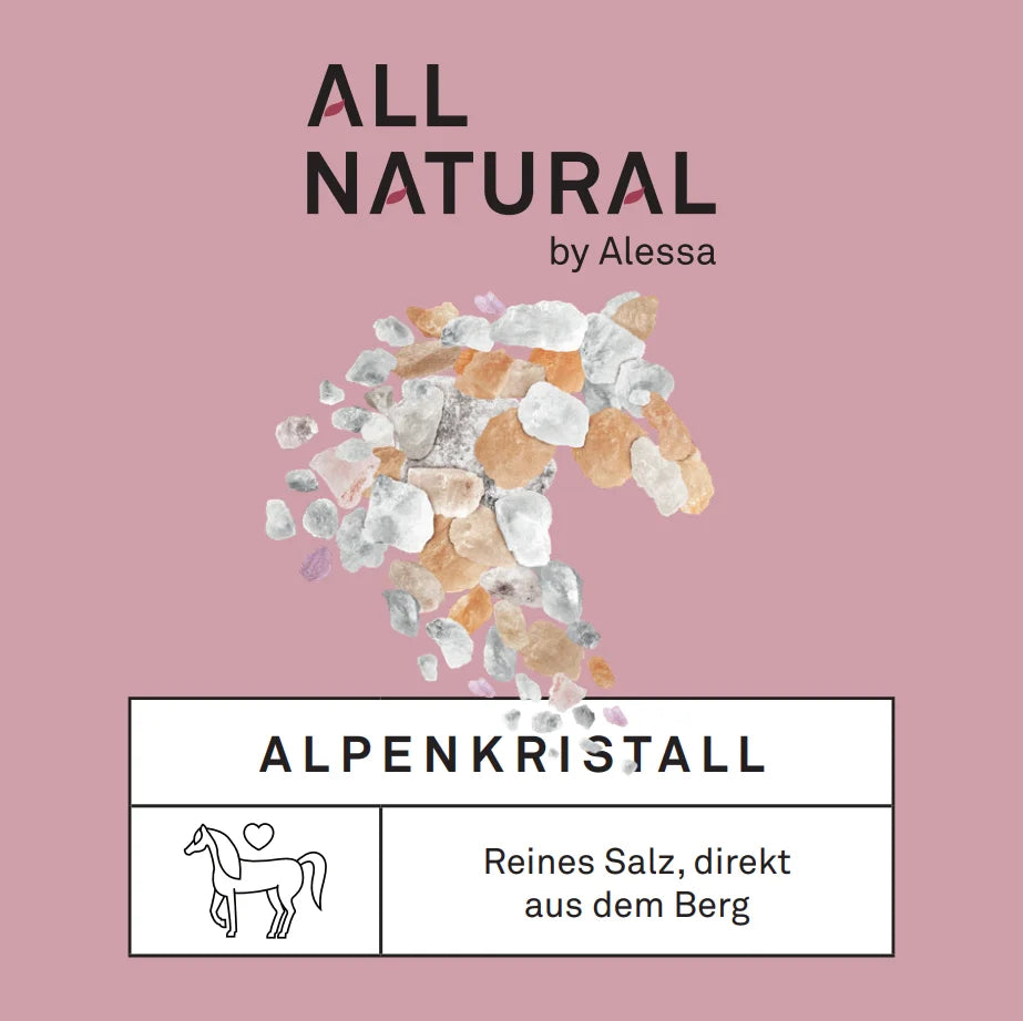 Alpenkristall Natursalzstein 2 bis 3kg