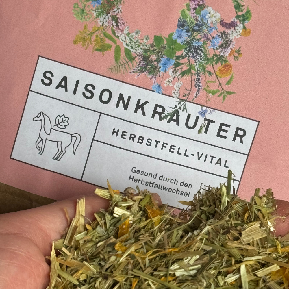 Saisonkräuter Herbstfell-Vital