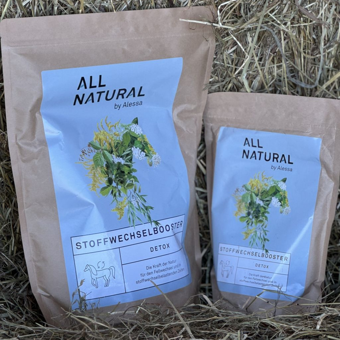 Stoffwechselbooster Detox